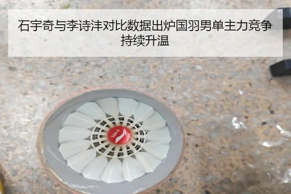 石宇奇与李诗沣对比数据出炉国羽男单主力竞争持续升温